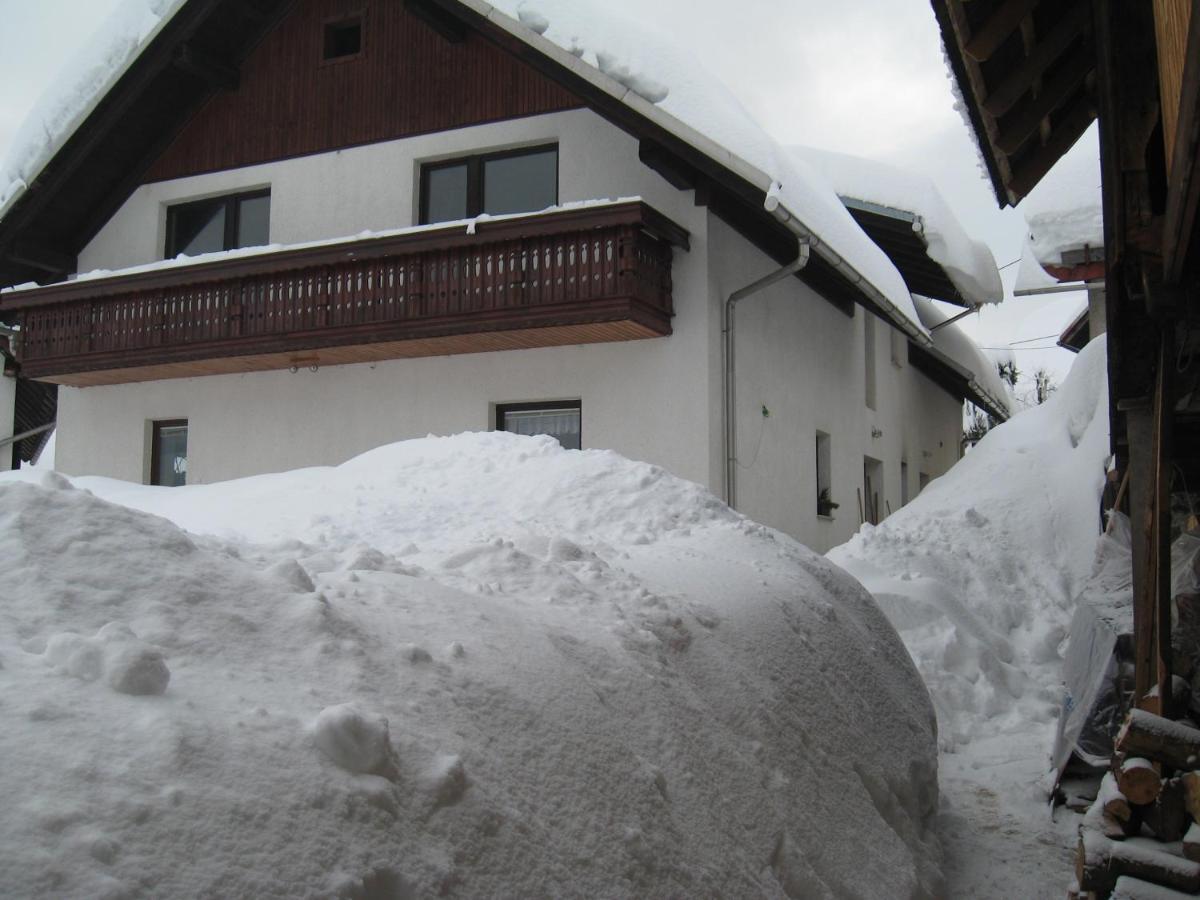 Apartmán Apartma Tilika Kranjska Gora Exteriér fotografie